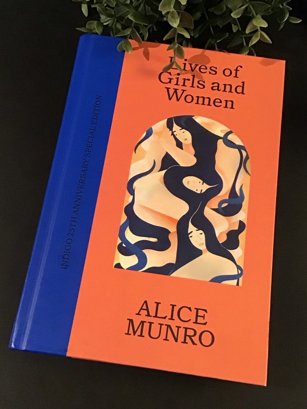 Alice Munro 'Lives of Girls and Women'
